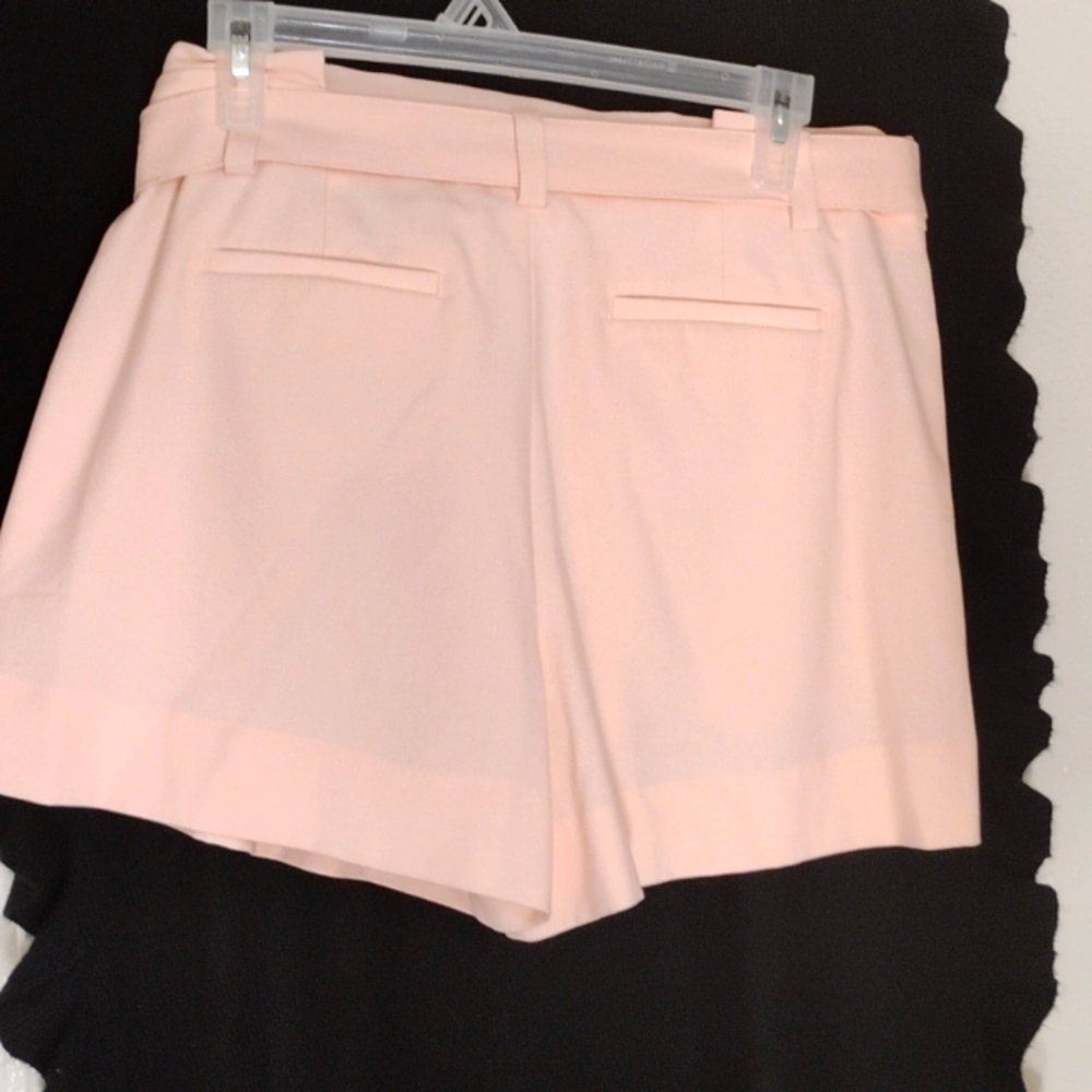 Banana Republic Pink High-Waist Tie Front Shorts - Picture 3 of 6